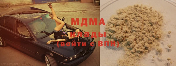 ГАЛЛЮЦИНОГЕННЫЕ ГРИБЫ Аркадак