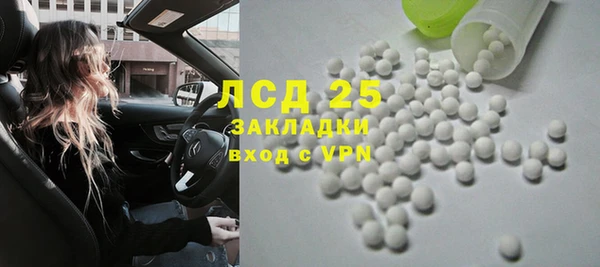 ГАЛЛЮЦИНОГЕННЫЕ ГРИБЫ Аркадак