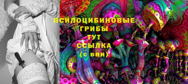 ГАЛЛЮЦИНОГЕННЫЕ ГРИБЫ Аркадак