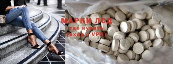 ГАЛЛЮЦИНОГЕННЫЕ ГРИБЫ Аркадак