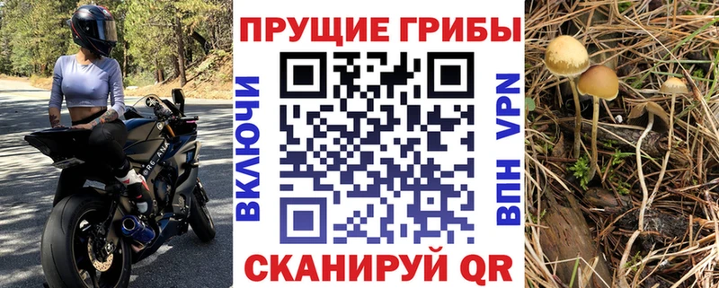 Галлюциногенные грибы Magic Shrooms  blacksprut вход  Курган 
